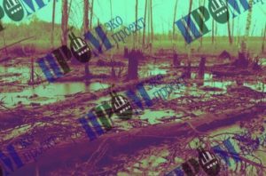 15178997925a7950103ddb21.04701607-300x198-300x198.jpg 15178997925a7950103ddb21.04701607-300x198-300x198.jpg