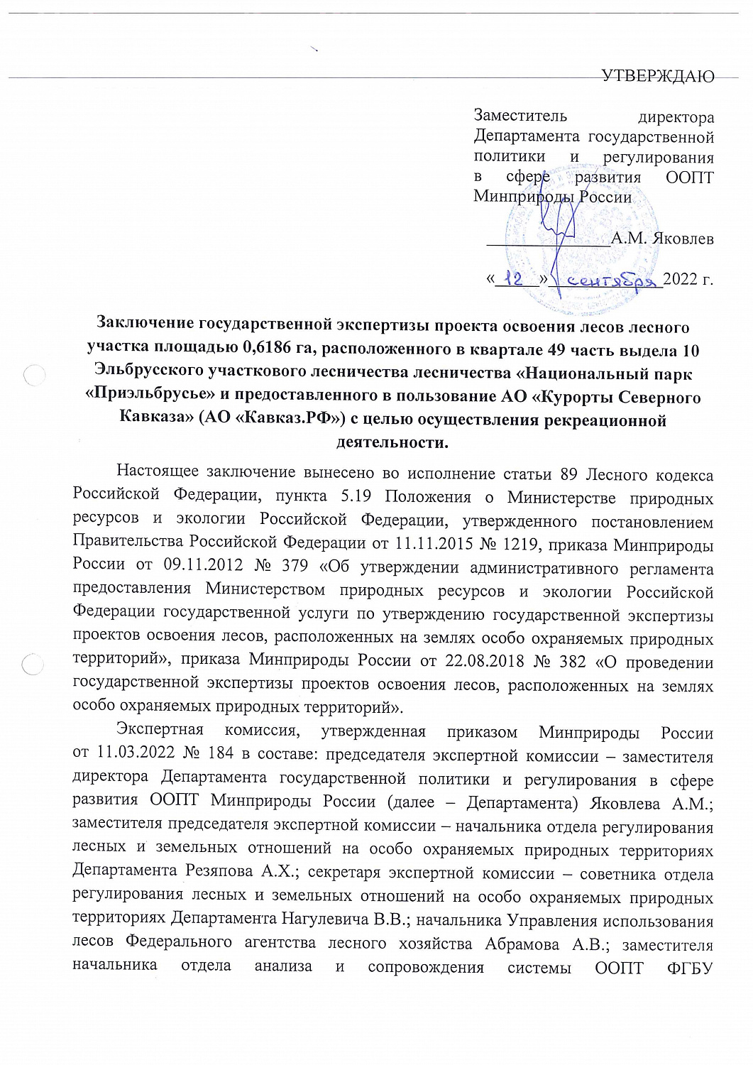 Проект освоения лесов