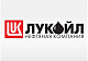 «ЛУКОЙЛ-Пермнефтеоргсинтез»